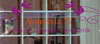 Schaufenstergestaltung Ayurveda77
